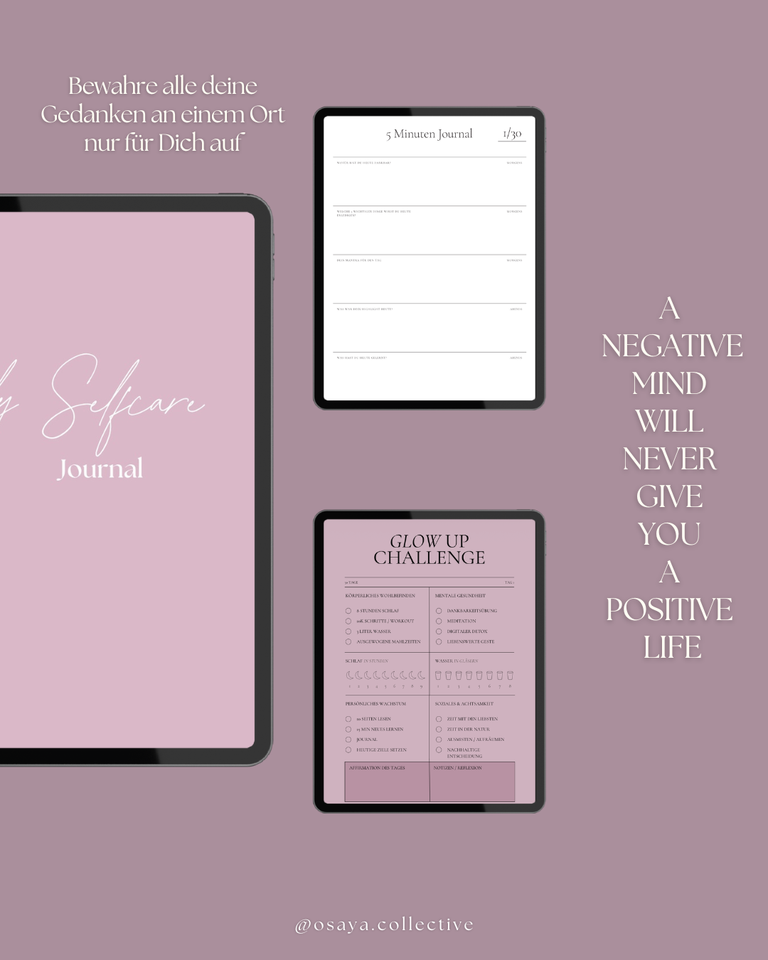 30 tage Glow Up Challange E-Book Rose